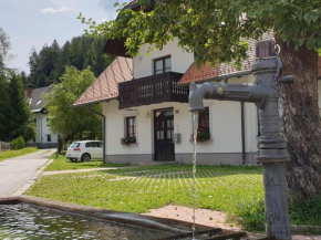 Apartman Irvin